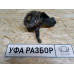 Кулак передний правый + ступица VW Passat [B6] 2005-2010