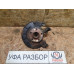 Кулак передний правый 1,4 МКПП Skoda Fabia 1999-2006