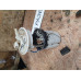 Топливный насос 1,5 МКПП Nissan Almera N16 2000-2006