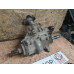 Раздатка Renault Duster 2012>