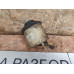 Бачок Гура Nissan Almera N16 2000-2006