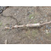 Глушитель 1,4 МКПП Skoda Octavia (A5 1Z-) 2008-2013